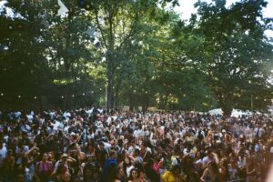 Kolade Ladipo gallery