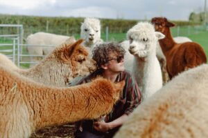 Marieke Macklon Gallery