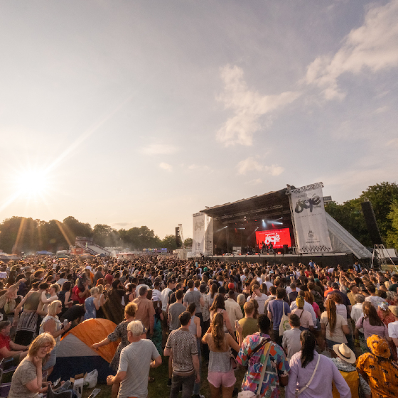 A large crowd at an Africa Oye festival with many people standing or sitting on the grass. The stage is distant but visible, featuring a live performance under a bright, setting sun.